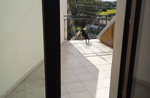 Dolianova Apartment | 1 minute from train and bus station Bright apartment with terrace