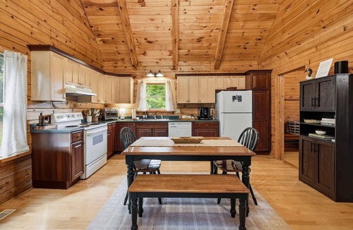 Watervliet House | 10 Acre County Line Cabin - Private Pond & Firepit