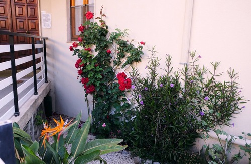 Lido Apartment | 100 m from the beach for 2-6 persons, 3-bedrooms apartment wth AC +little garden