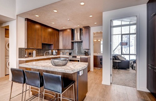 Salt Lake Mountain Resorts Condo | 100 Percent Completely Renovated Gorgeous Snowbird Ski In/Ski Out Condominium