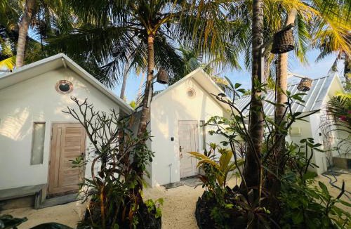 Noonu Atoll Bed & Breakfast | 101 Sosi