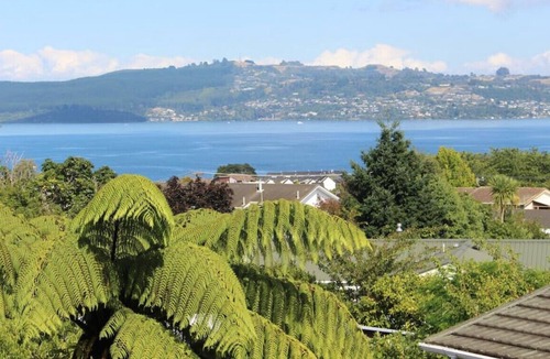 Waipahihi Other | 13 Korimako · A Beauty - your special home