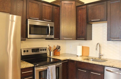 Vine Apartment | 131 Cedar 3 · Charming 2BR Luxury Apartment in Downtown Kalamazoo