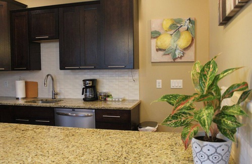 Vine Apartment | 131 Cedar 3 · Charming 2BR Luxury Apartment in Downtown Kalamazoo