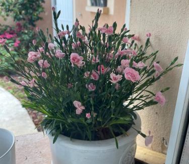 Dardilly Bed & Breakfast | 15 min from Lyon Fresh Peaceful Room with Pool and Garden