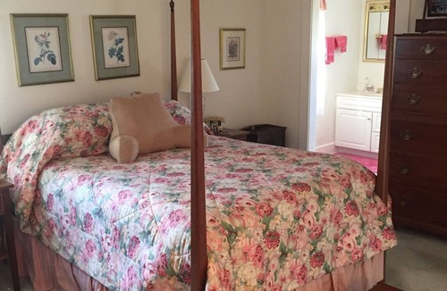 Mount Jackson House | 18th Century log Farm House in the heart of the Shenandoah wth all the comforts.