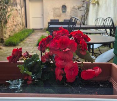 Treviso Bed & Breakfast | 19 Borgo Cavour