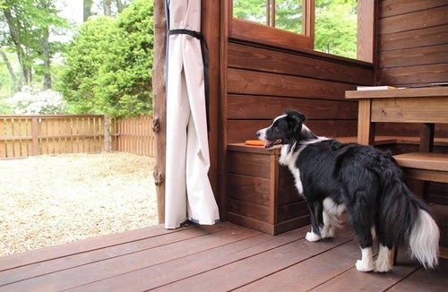 Kita Karuizawa RV Rental | 19 Dog Run Cottage Woof/Agatsuma District Gunma