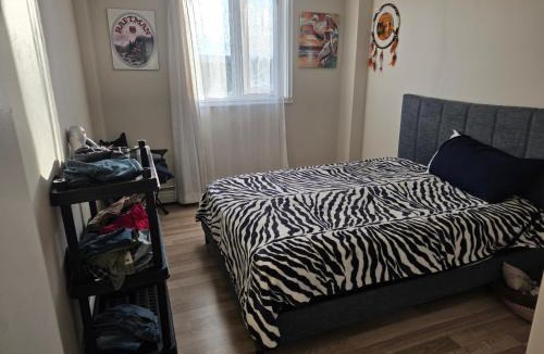 Kensington Apartment | 1BR in a 2BR Shared Condo Kensington DT