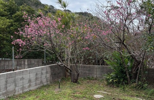 Imadomari House | 2 A private room in Nakijin Village just a 16mi/Kunigami District Okinawa