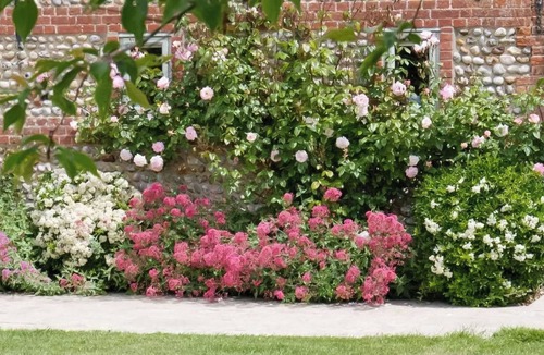 Ridlington Cottage | 2 bedroom accommodation in Ridlington