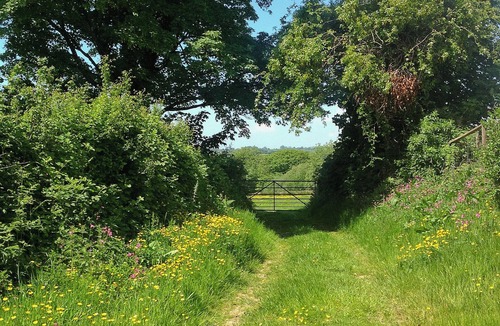 Tavernspite Cottage | 2 bedroom accommodation in Marros, near Amroth