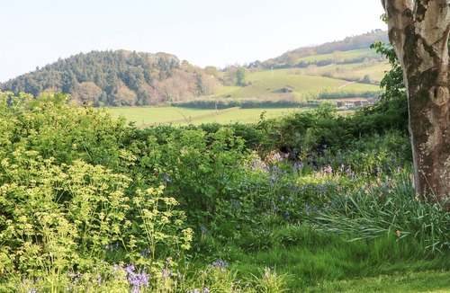 Alcombe Cottage | 2 bedroom accommodation in Ellicombe, near Dunster