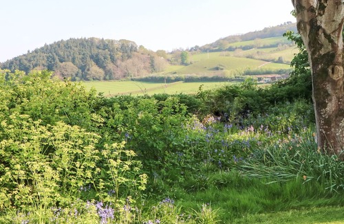 Alcombe Cottage | 2 bedroom accommodation in Ellicombe, near Dunster