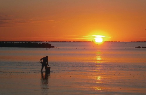 Rimini Apartment | 2 bedroom accommodation in Rimini