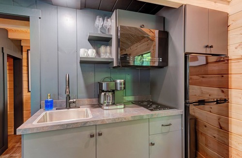 Hendersonville Cabin | 2 Bedroom Cabin in DuPont State Park with Loft, Hot-Tub, and Sauna(Read Rules)