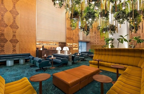 Financial District Hotel | 2 Comfortable and Affordable Pet Friendly Units