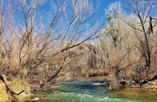 Camp Verde House | 2 Convenient Units! FREE Parking, Outdoor Pool, Pets Allowed, Near Busch Gardens