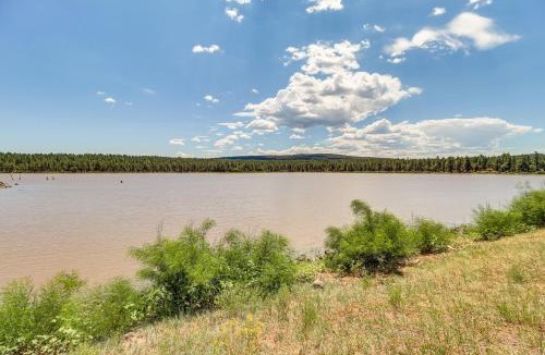 Pinetop-Lakeside House | 2 Mi to Rainbow Lake: Lovely Lakeside Tiny Home