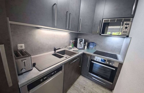 Busenbach Apartment | 2 Rooms Kitchen Whirlpool Shower-Toilet 75"SAT-TV Terrace Parking for 4+2 Guests