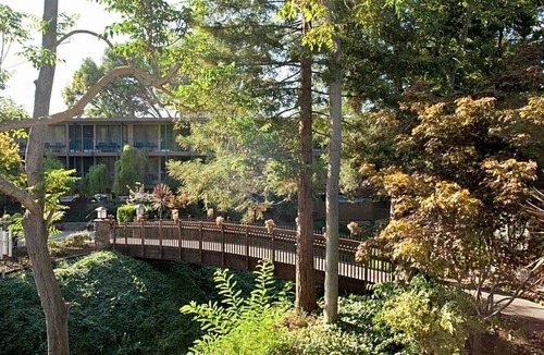 Barron Park Hotel | 2 Spacious Unit with Heated Pool, Free Breakfast & Parking Near Stanford