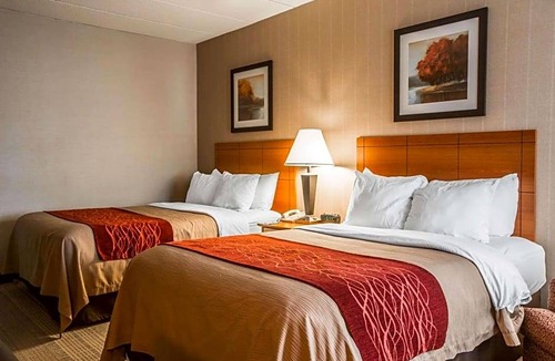 White River Junction Hotel | 2-Star Hotel ∙ Comfort Inn White River Junction
