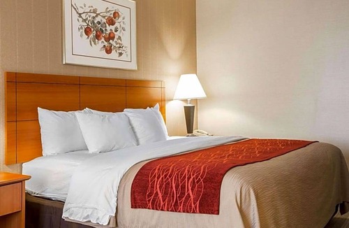 White River Junction Hotel | 2-Star Hotel ∙ Comfort Inn White River Junction
