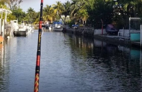 Little Torch Key House | 20 ft from your room to a clean canal full of fish and lobsters and crabs.