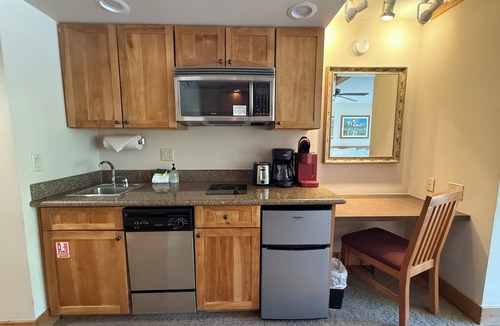 Mount Crested Butte Condo | 205 Base area slope side views Mt. Crested Butte. Pet friendly