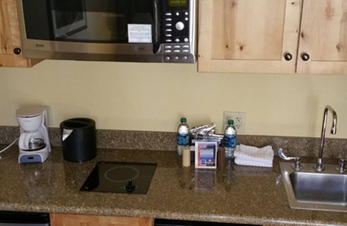 Mount Crested Butte Condo | 205 Base area slope side views Mt. Crested Butte. Pet friendly