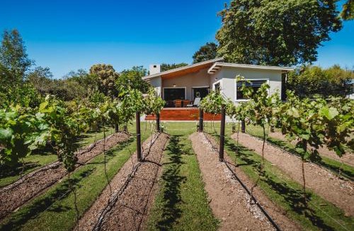 George Apartment | 21 Heather Road