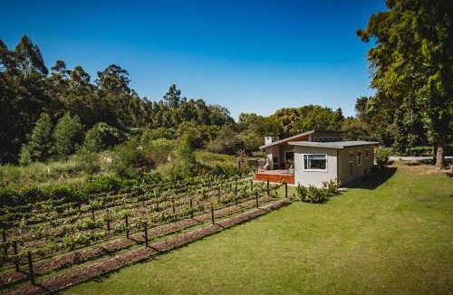 George Apartment | 21 Heather Road