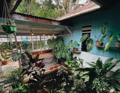 Rantepao Bed & Breakfast | 24 Traphouse
