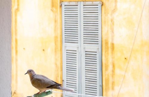 Old Town Apartment | 26 nice Vieux Nice