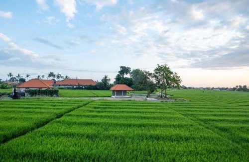 Cemagi Villa | 2BR Rice Field View Private Villa in Cemagi
