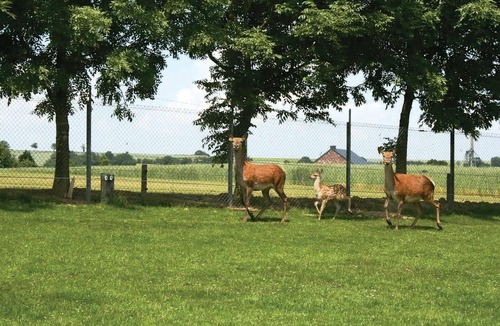 Somme-Leuze House | 3 bedroom accommodation in Somme-Leuze