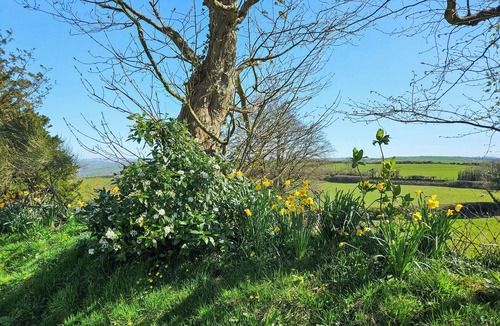 Llanfihangel-Ystrad Cottage | 3 bedroom accommodation in Dihewyd, near Aberaeron