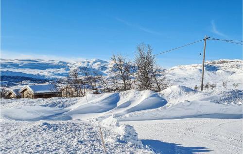 Oystre Slidre House | 3 Bedroom Lovely Home In Beitostølen