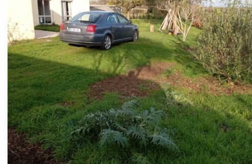 Chateaudun House | 3 Bedroom Private vacation home in ChÃ¢teaudun