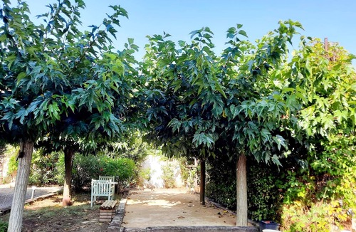 Villeveyrac Villa | 3 bedroom villa, swimming pool, pétanque court, 15 min from the sea