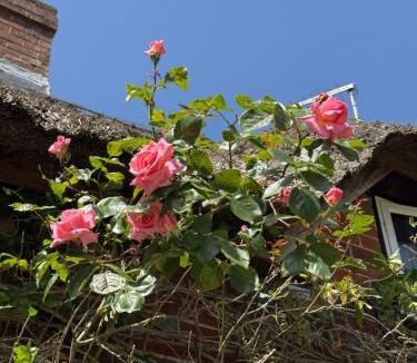 Ropley House | 3 Bedrooms, 3 Double Beds, 6 Guests, Countryside Thatched Cottage