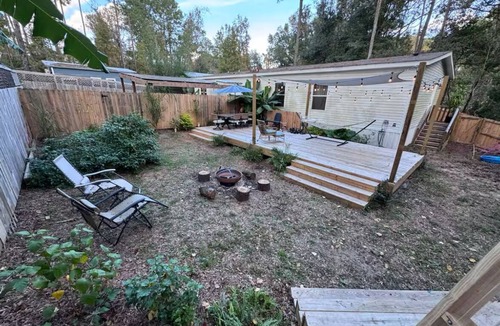 Alachua House | 3 BR Cozy Pine Tree Sanctuary in Downtown Alachua
