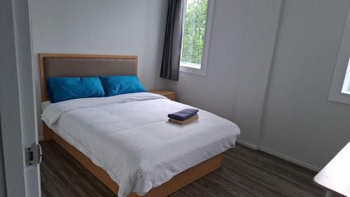 Auckland Apartment | 3 Double 4 Single and 2 Sofa Beds, Apartment1