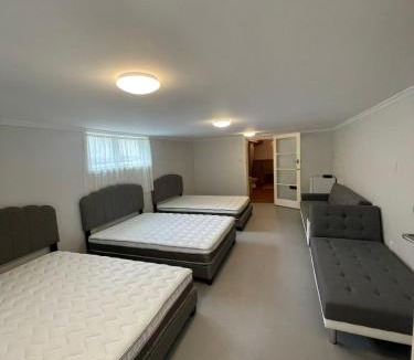 Palmerston North Apartment | 3 double beds and 2 sofa beds studio