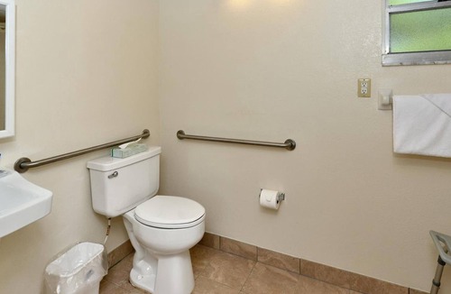 Bradenton Hotel | 3 Inviting Bradenton Rooms Near The Bishop Museum of Science & Nature - 6.2miles