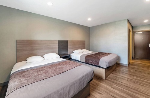 Foxboro Hotel | 3 Units with FREE Parking & FREE Breakfast, Walk to Nature Trail & Cranberry Bog