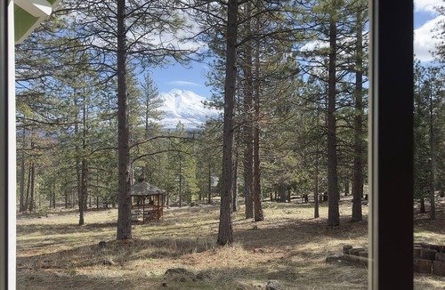 Weed Cabin | 30 Night Minimum, Shasta View Chalet