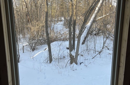 Grandy Cabin | 300 ft lakefront · Sauna · Hot tub · 2 treehouses · Firepits · 10 private acres