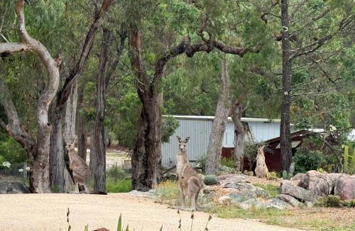 Stanthorpe Bed & Breakfast | 31 The Rocks