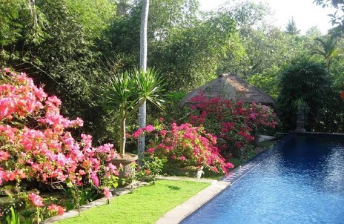 Kediri Villa | 3BR Villa, Feature Garden - W/Swimming Pool!